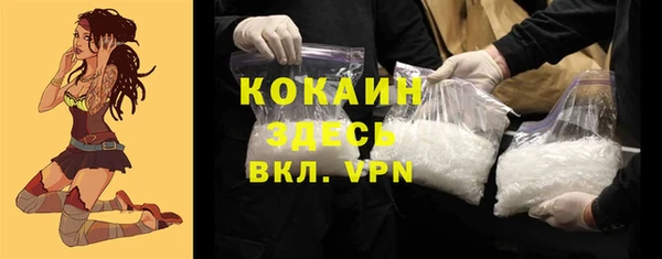 гидра Магас