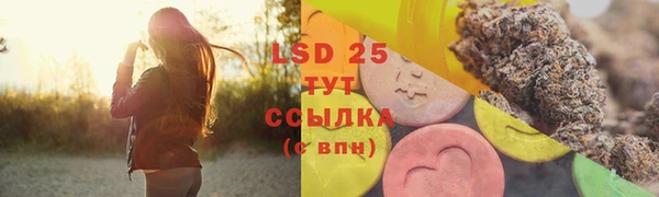 сатива Магадан