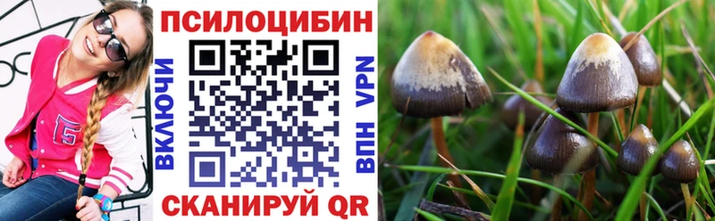 Псилоцибиновые грибы ЛСД  Рыбное 