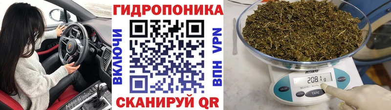 Бошки марихуана THC 21% Рыбное
